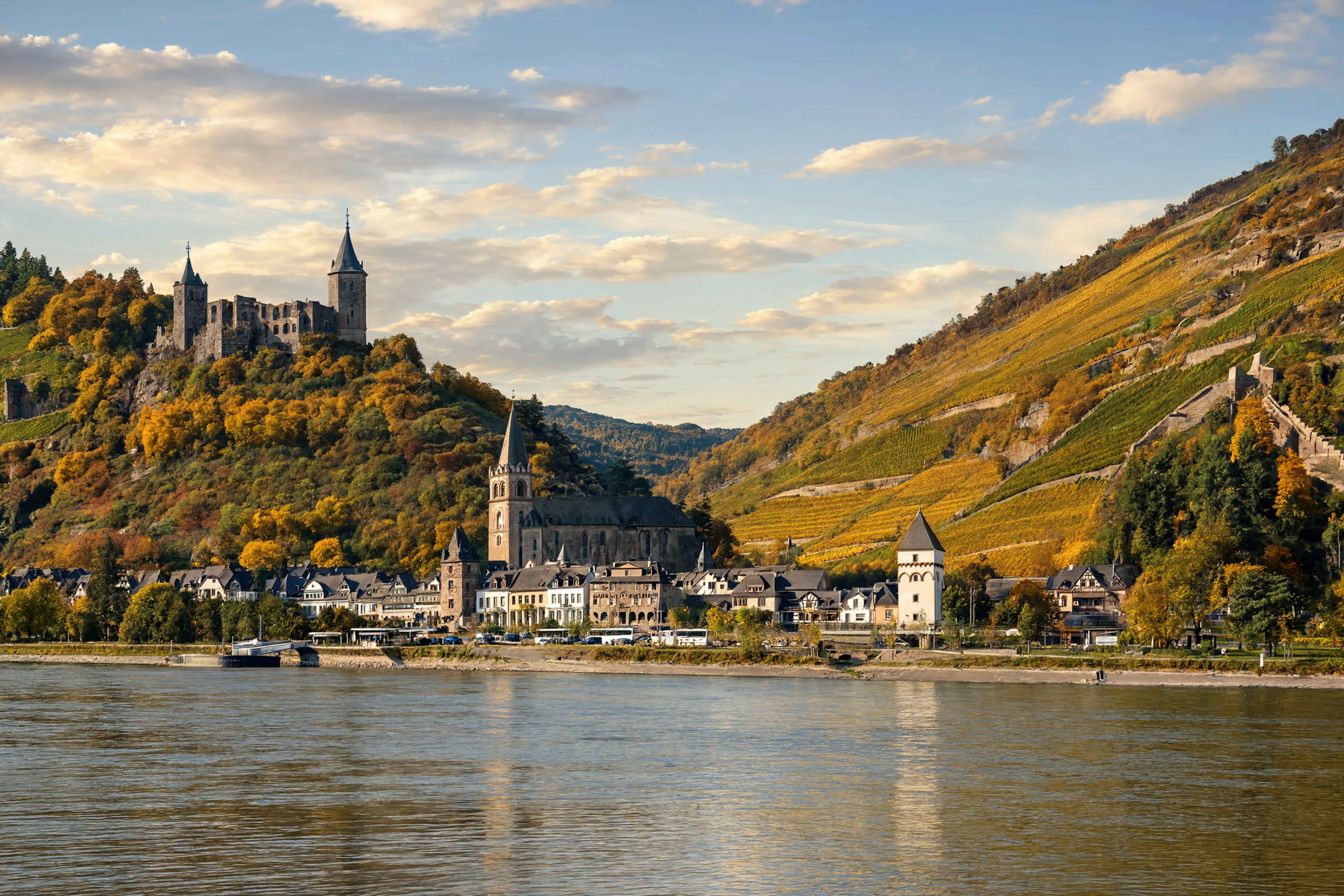Rheintal – goldenes Tal und Weinberge